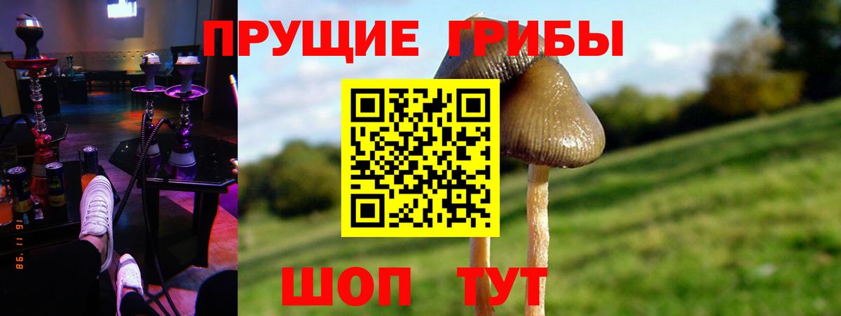 Псилоцибиновые грибы GOLDEN TEACHER  Псилоцибиновые грибы мухоморы  купить наркоту  Новоуральск  Вход с VPN 